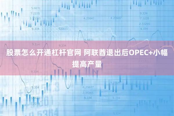股票怎么开通杠杆官网 阿联酋退出后OPEC+小幅提高产量